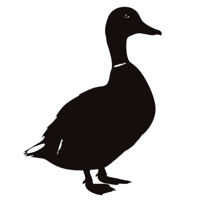 duck silhouette - Rose png
