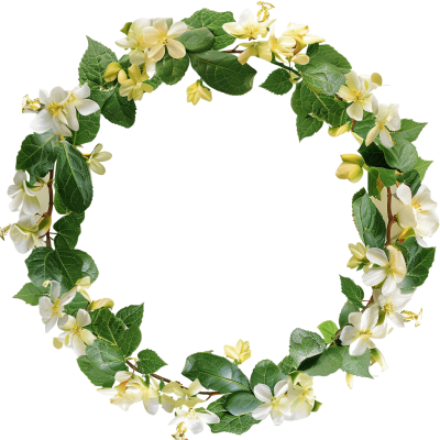 garland png - Rose png