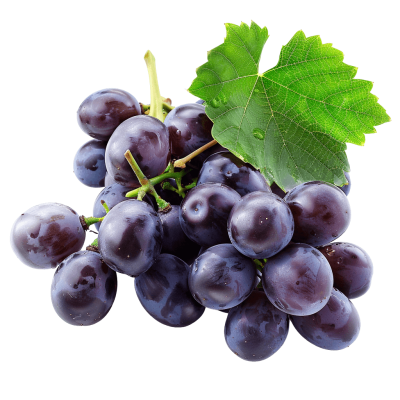 grapes png - Rose png