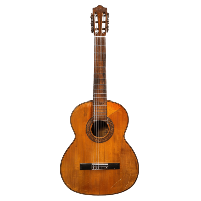 guitar png - Rose png