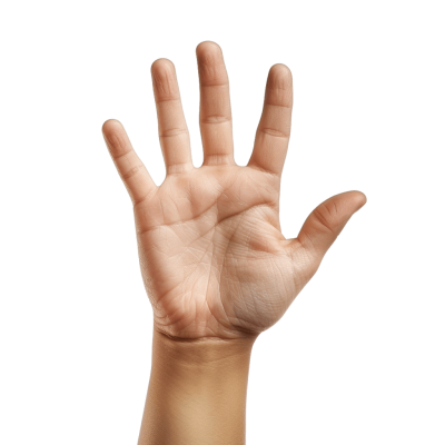 hand png - Rose png