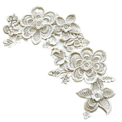 lace png - Rose png