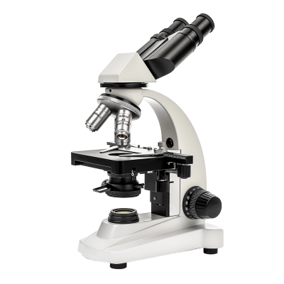 microscope png - Rose png