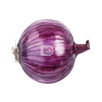 onion png - Rose png