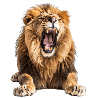 roaring lion images | Download High-Quality Transparent PNG Image
