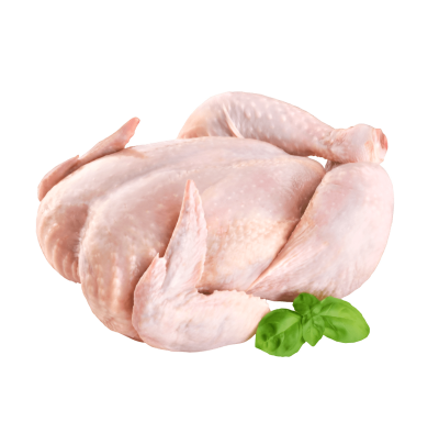 frango png - Rose png